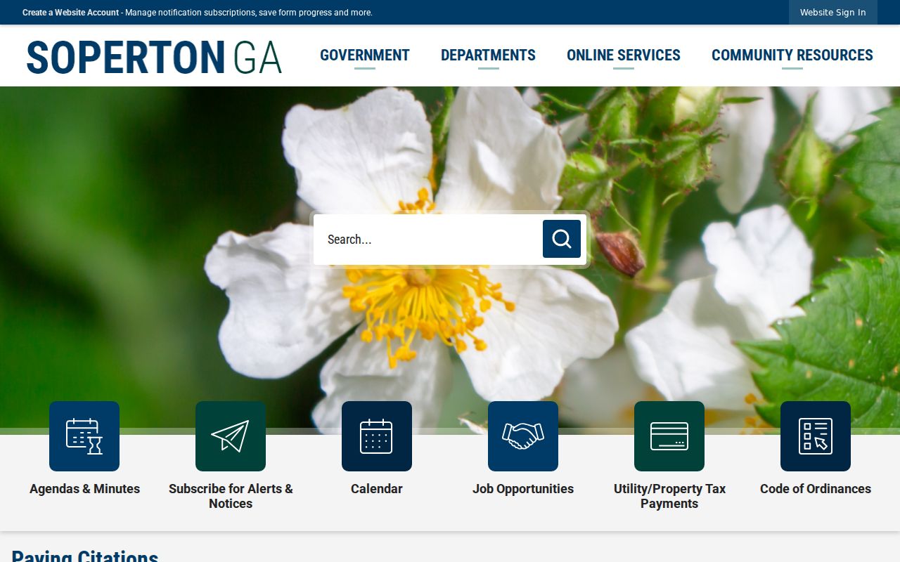 Treutlen County active warrant Soperton citation payment instructions